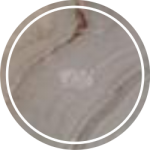 t- charmi e dare bokhari