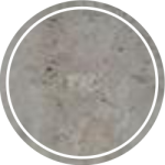 t- charmi e dare bokhari 2